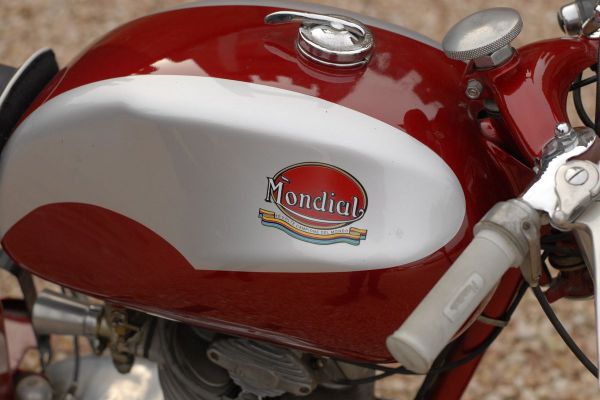 mondial-175-tv-17E3A1A583-E10E-B35B-FA80-BD92CD3F9A95.jpg
