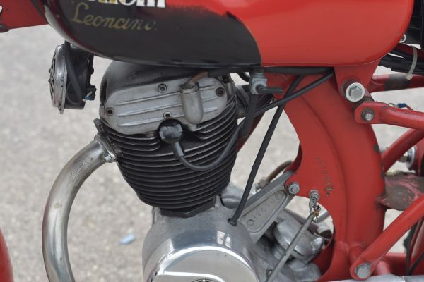 benelli-leoncino-4-tempi-12FB4C065F-4B48-2A7B-9DB5-335CDCB01608.jpg