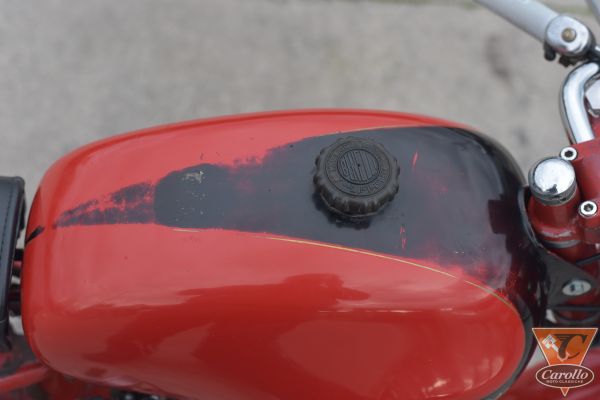 benelli-leoncino-4-tempi-33201B2BE-4A93-3A78-8E15-898654491A62.jpg