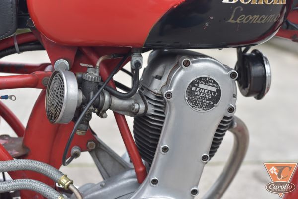 benelli-leoncino-4-tempi-5AF7430E5-D3D2-9FB1-6B9B-CBA5CCE2E9A2.jpg