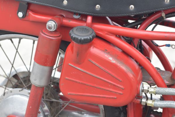 benelli-leoncino-4-tempi-76C945162-F081-8D01-31A8-CF505CADDC7D.jpg