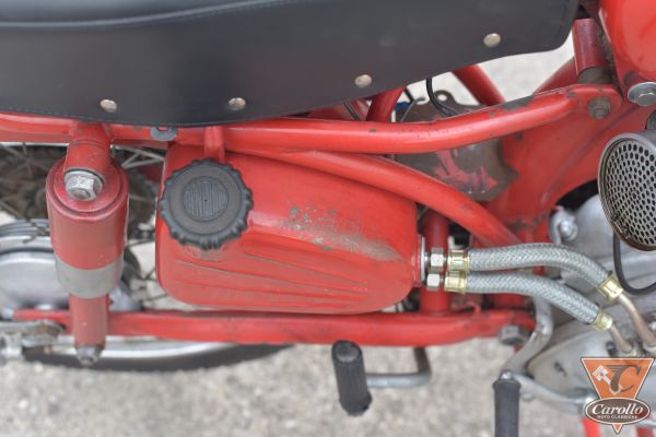 benelli-leoncino-4-tempi-8F8948D62-56B4-B700-15FA-017821FB7C39.jpg