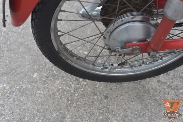 benelli-leoncino-4-tempi-98902B8C8-C7E3-444A-64DB-837C291A0C6B.jpg