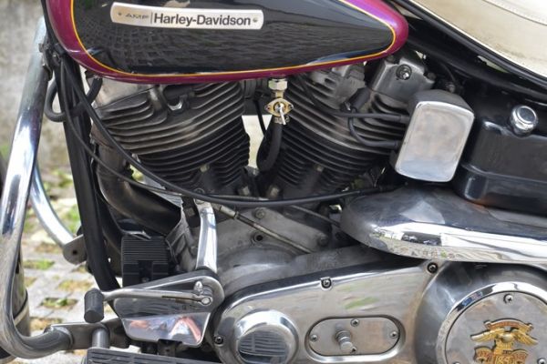 electraglide-1976-2DB460F06-00ED-6B29-E242-EAC8D20872CC.jpg
