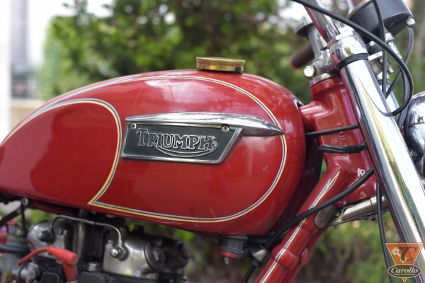 triumph-tiger-1706C85F36-4869-A3B8-8C18-4375D866F152.jpg