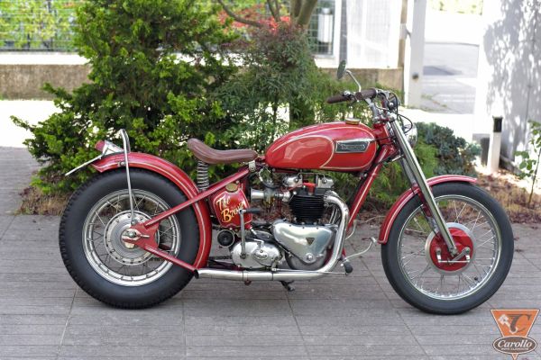 triumph-tiger-1D007E634-F448-E5CF-80E9-2BFD60B2A8D5.jpg