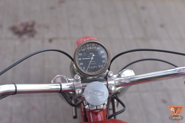 triumph-tiger-6C4DB02B3-AF91-71CF-F417-7F685E1945FF.jpg