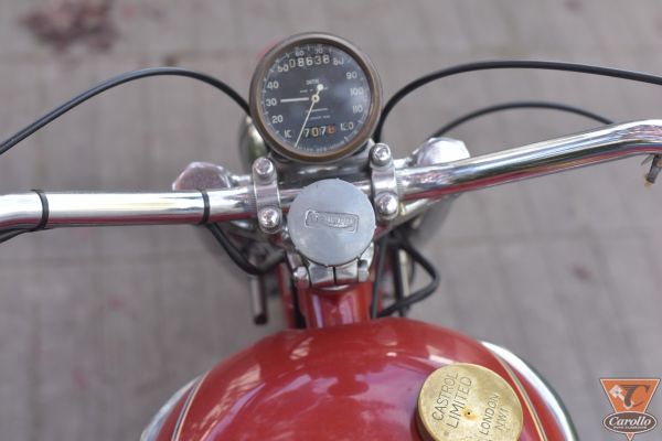 triumph-tiger-787045994-8A8A-B932-A22D-71C5923B24AB.jpg